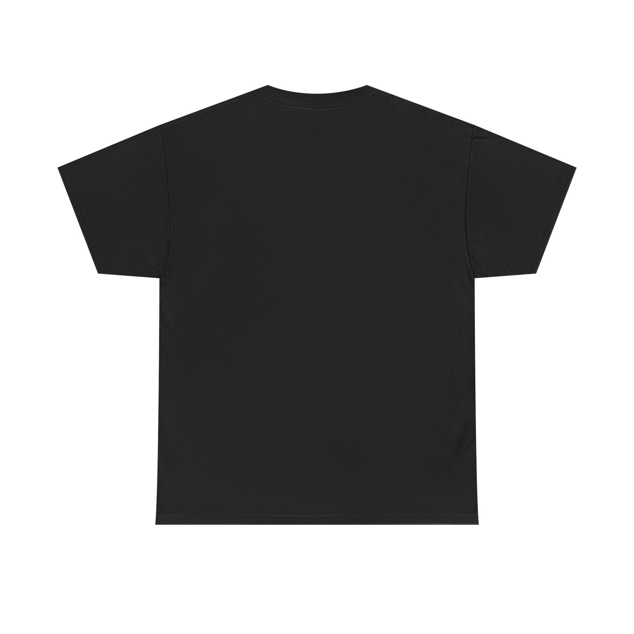SPLYT DIVISION Invertyd State Collection Unisex Heavy Cotton Tee