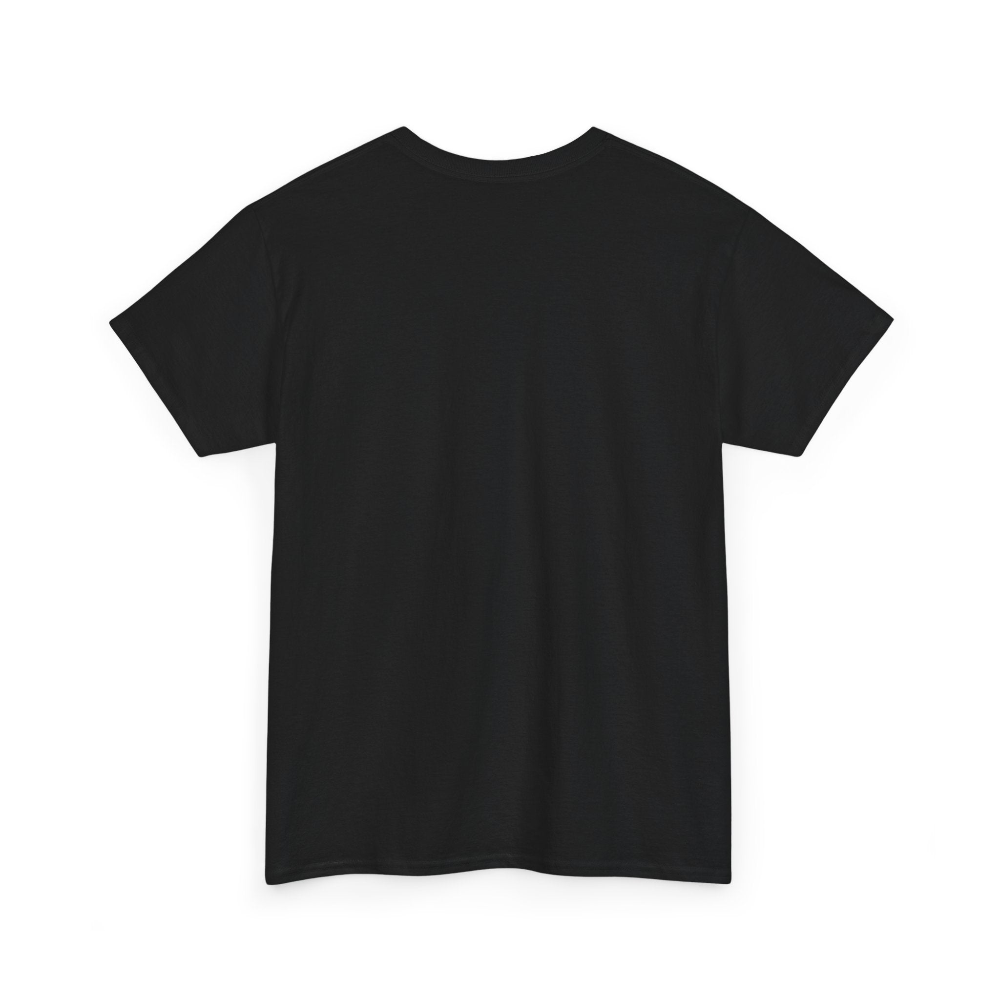 SPLYT DIVISION Invertyd State Collection Unisex Heavy Cotton Tee