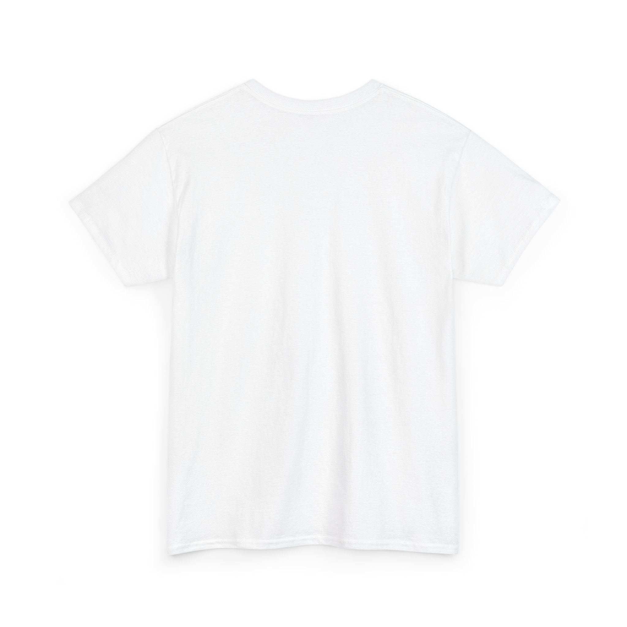 SPLYT DIVISION Invertyd State Collection Unisex Heavy Cotton Tee